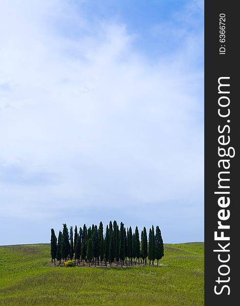 TUSCANY countryside, landscape with cypress