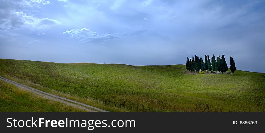 TUSCANY Countryside, Landscape With Cypress