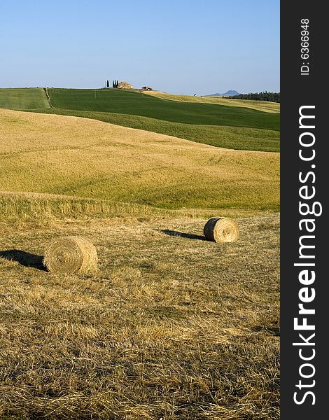 Tuscany countryside, hayball on the meadow