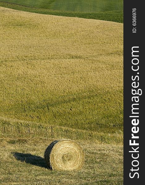 Tuscany countryside, hayball on the meadow