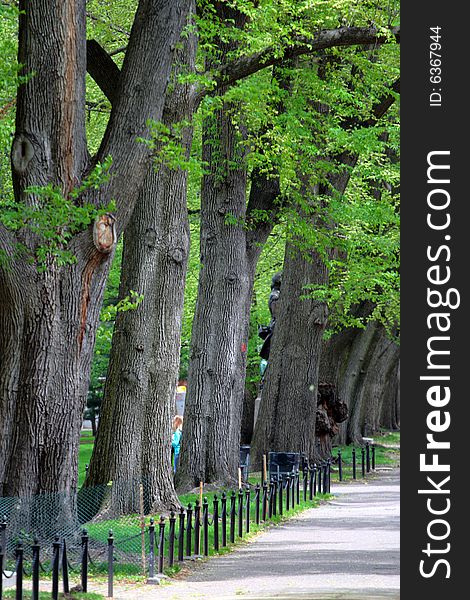 Boston Common And Public Garden, USA