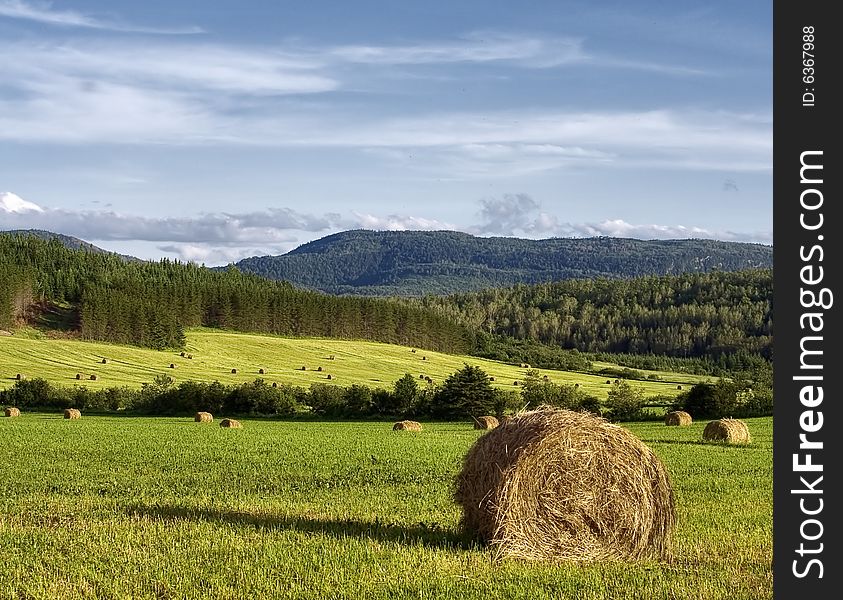 Hay bales in a field with forest and mountain in background. Hay bales in a field with forest and mountain in background