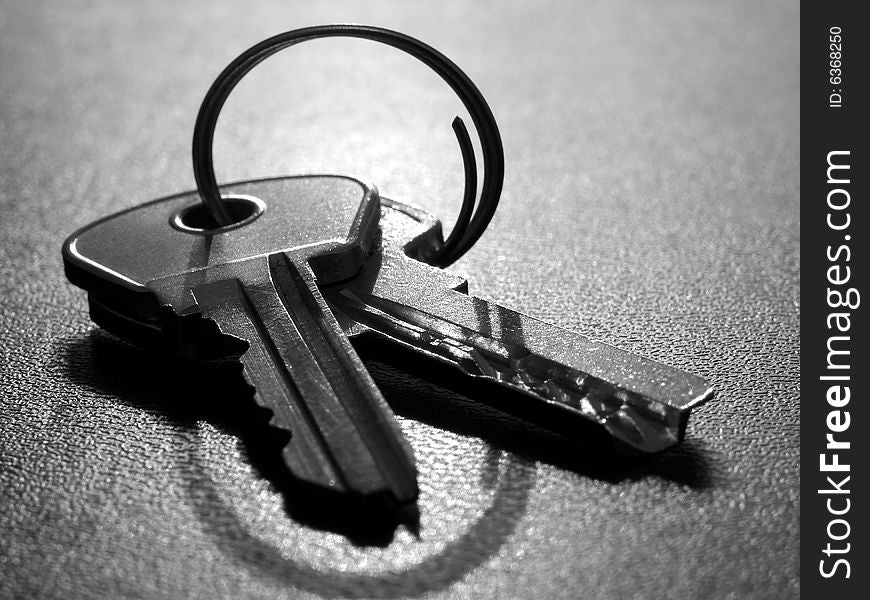 Two keys with key ring in the backlight
