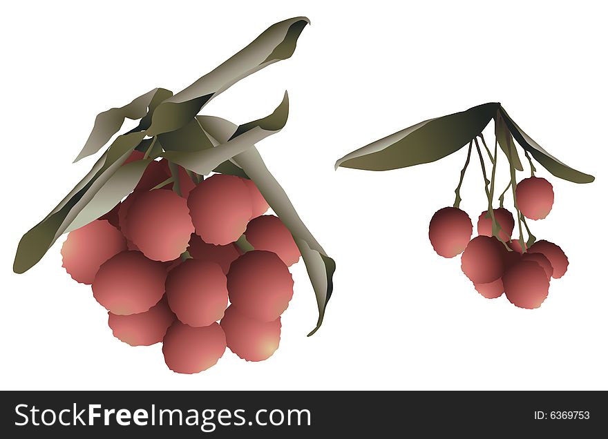 A illustration of two different clusters of lychee fruit.