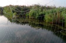Spider Net Stock Photo Spider Net Stock Photo