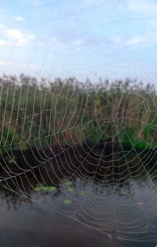 Spider Net Stock Photo Spider Net Stock Photo