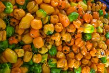 Yellow, Green And Orange Peppers Royalty Free Stock Photography