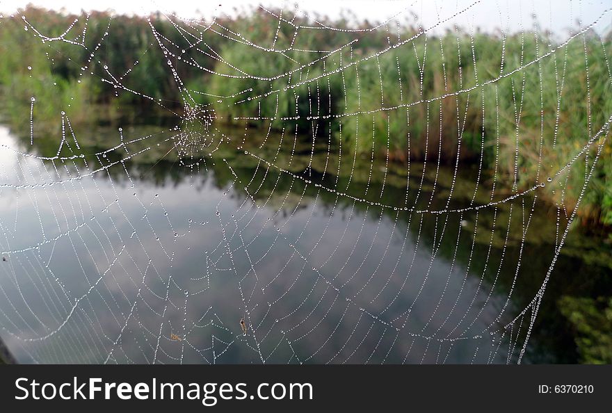 A spider net with a lake in background