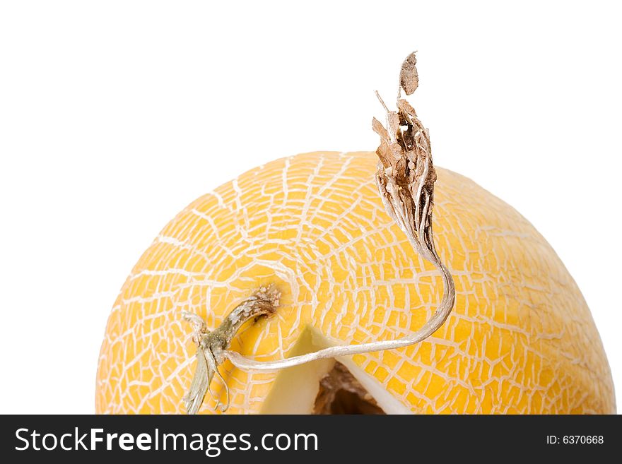 Melon isolated on white background.