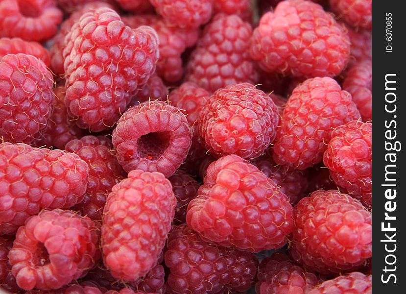 Closeup detail of fresh raspberries freshly picked