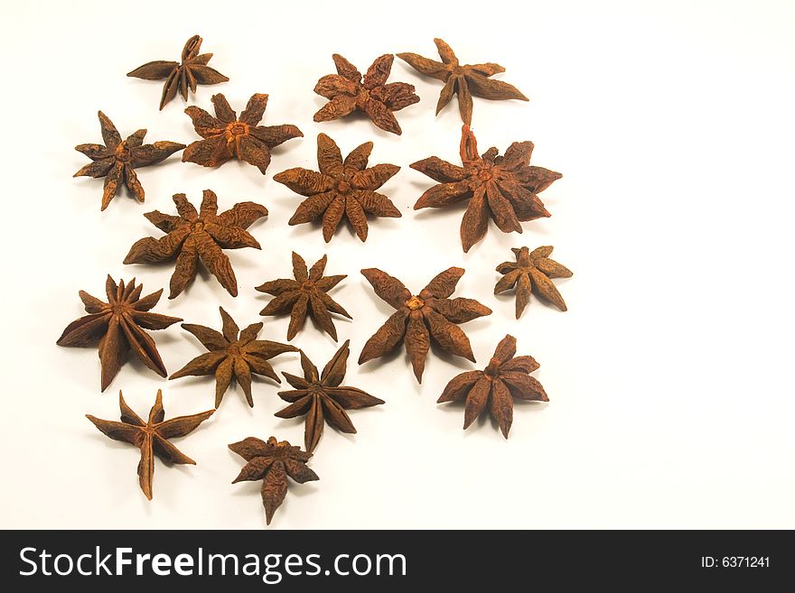 Star aniseed isolated on white