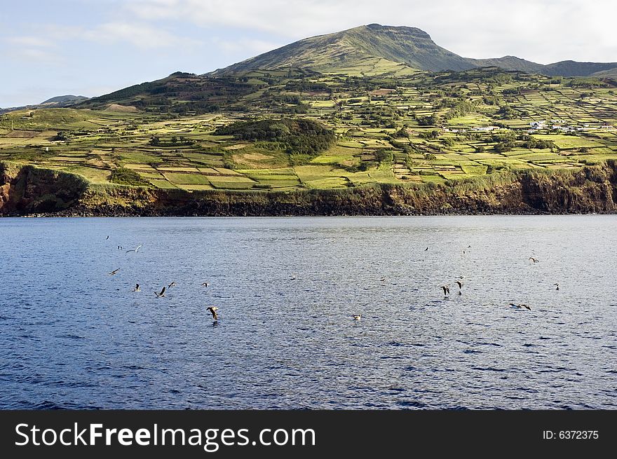 Rural landscape, Pico island, Azores