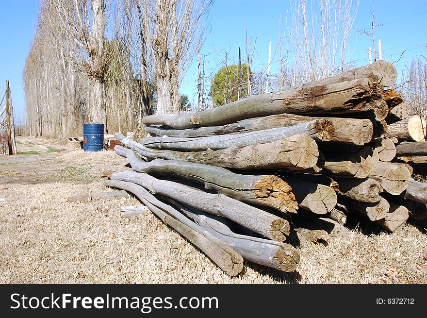 Posts in a patagonian farm on winter. Posts in a patagonian farm on winter