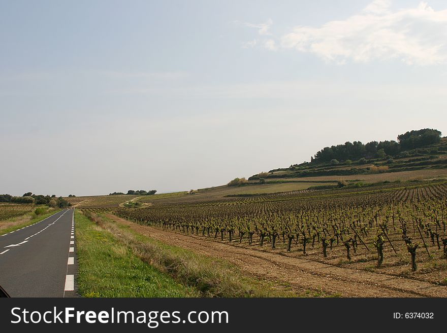 Photograph a road and a vineyard, near the village Salleles d'Aude in the Languedoc region of France. Photograph a road and a vineyard, near the village Salleles d'Aude in the Languedoc region of France