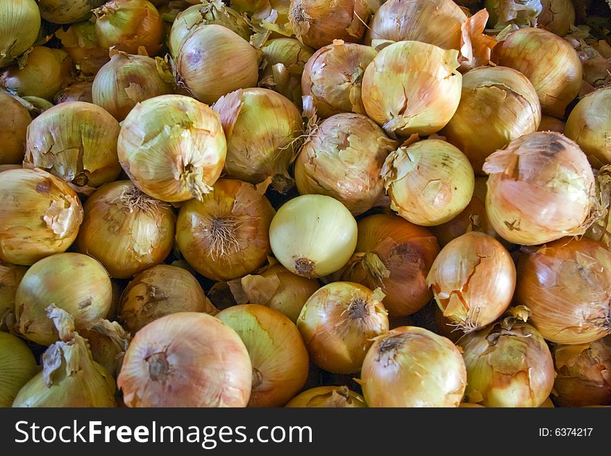 Bin of onions at a local farmers' market.