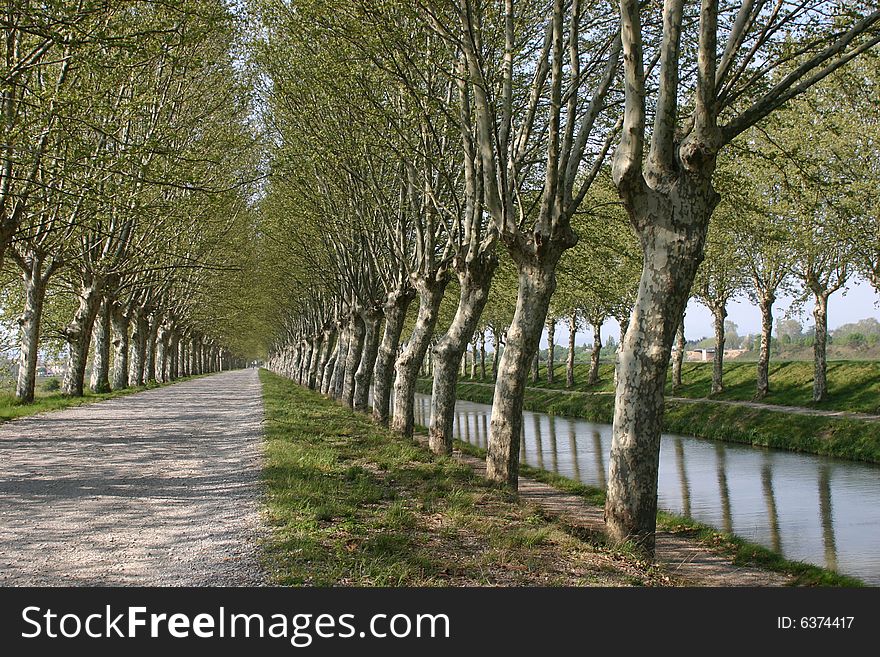 Photograph of the Canal du Midi, near the village Salleles d'Aude in the Languedoc region of France. Photograph of the Canal du Midi, near the village Salleles d'Aude in the Languedoc region of France