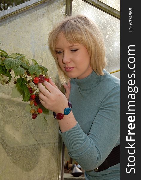 Attractive girl tending rasberries by greenhouse