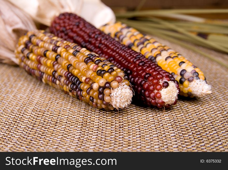 Showing three different kind of indian corn.