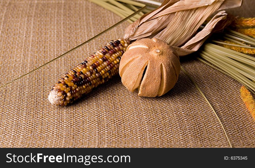 Showing different kind of indian corn.