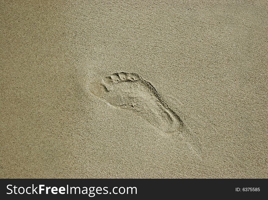 Single footprint left in the sand on a beautiful beach. Single footprint left in the sand on a beautiful beach