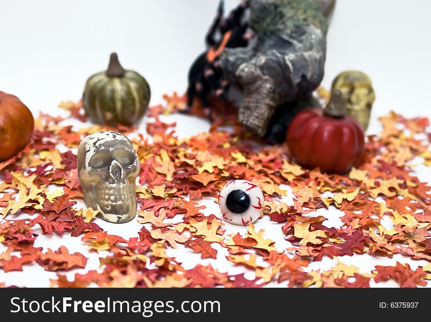 Halloween scene with leaves, skulls, eyeballs, tarantula, and gourds.