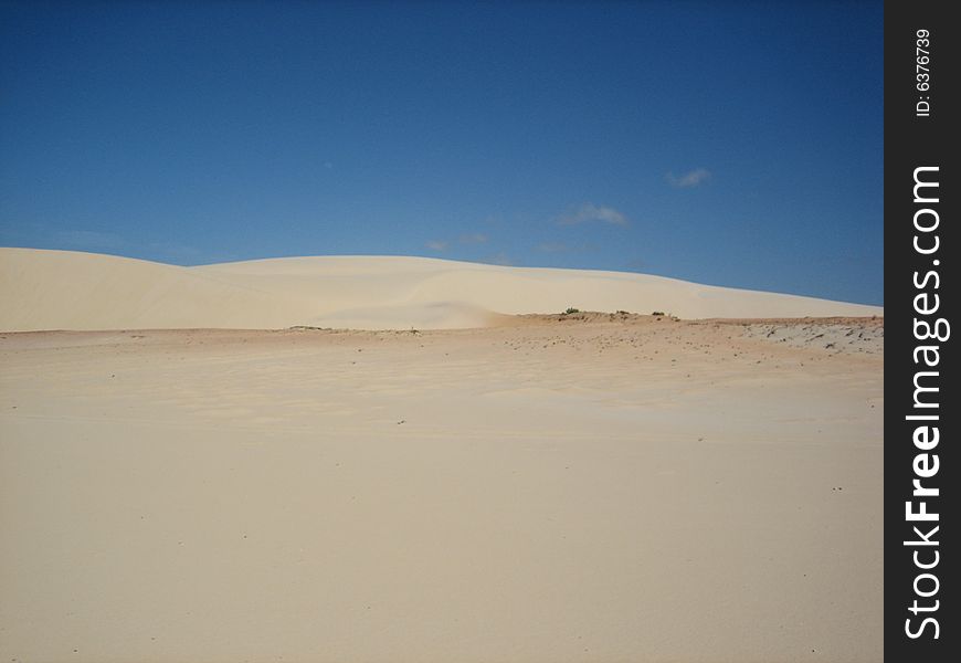 Brasil Desert