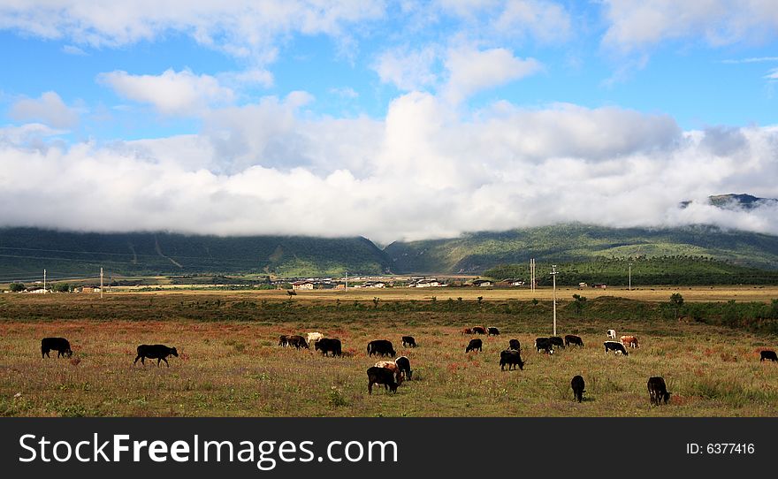 Rural scenery of yunnan tibetan area ,china