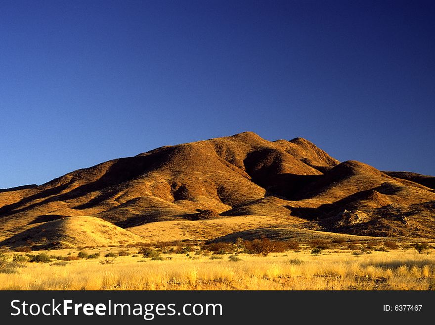 A view of the nature in the desert of namibia. A view of the nature in the desert of namibia