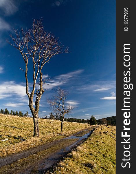 Beautiful spring landscape and old road