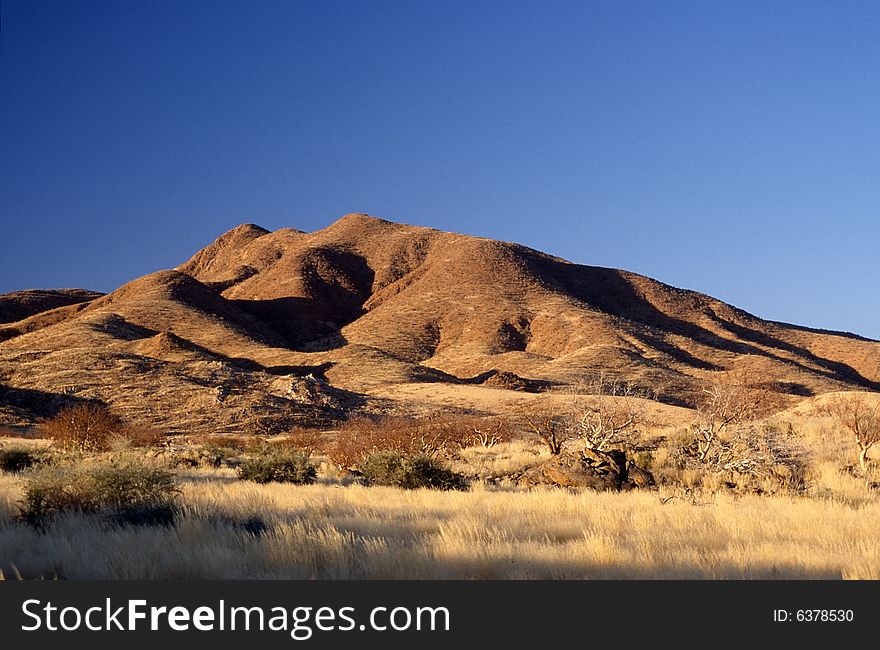 The typical african landscape in namibia. The typical african landscape in namibia