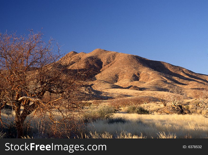 The typical african landscape in namibia. The typical african landscape in namibia