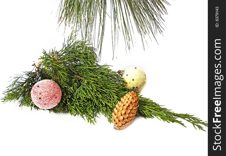 Pine decorated branch