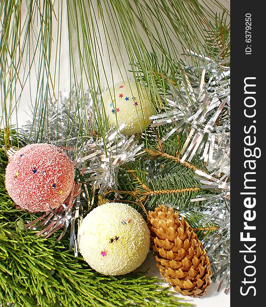 Pine decorated branch