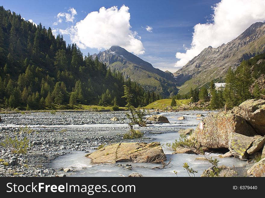 Mountain torrent of rocks and pine forests