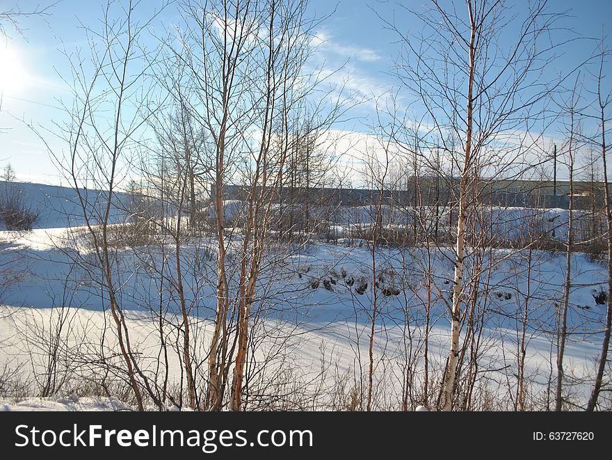 Winter came suddenly, sunny day in a frosty morning