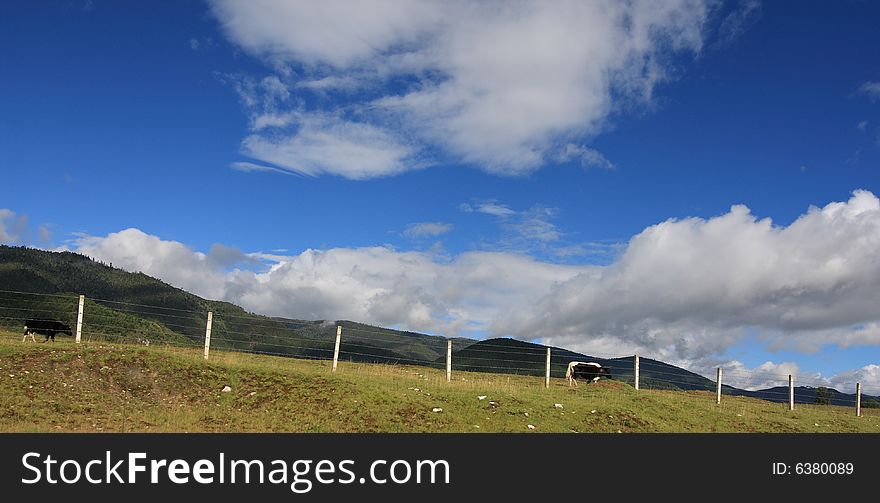 Beautiful scenery of Shangri-La