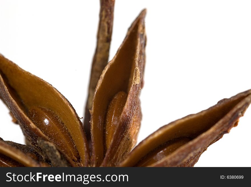 Star anise with white background made by macro optic. Star anise with white background made by macro optic