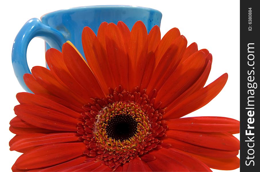 Isolated orange flower with blue cup clipping path