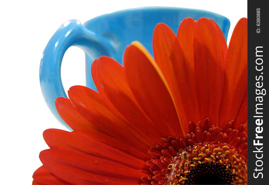 Isolated blue cup with an orange flower on white background. This photo has clipping path saved for easy selection. Isolated blue cup with an orange flower on white background. This photo has clipping path saved for easy selection.