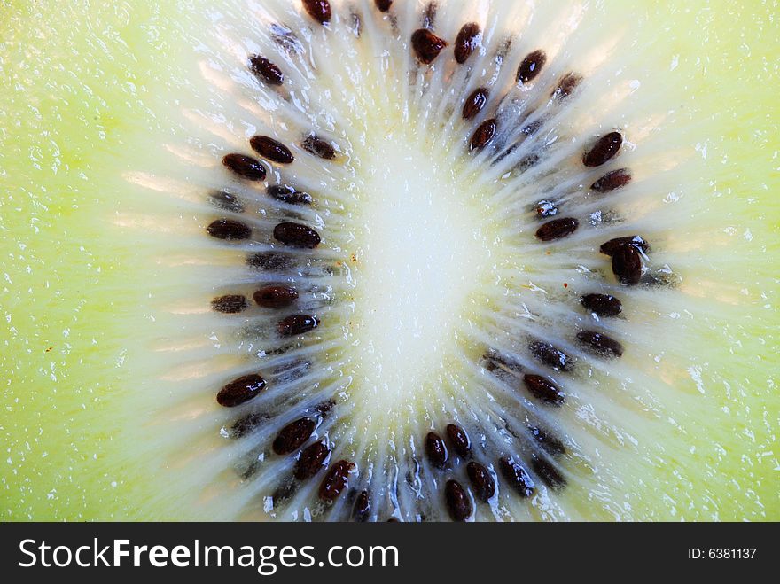 Close up of single kiwifruit slice.