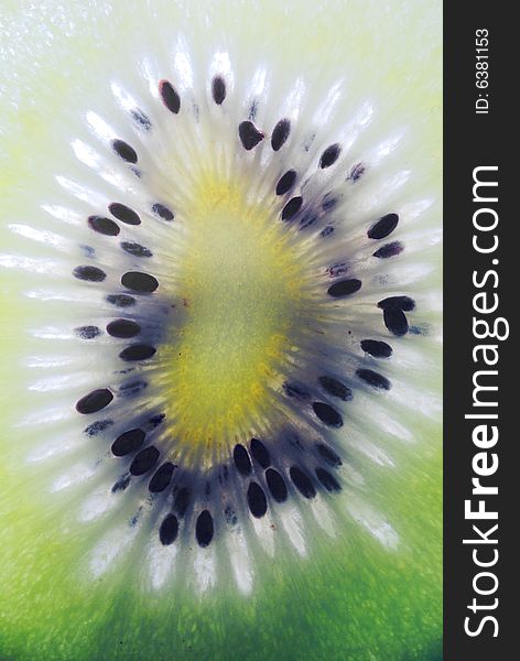 Close up of single kiwifruit slice.