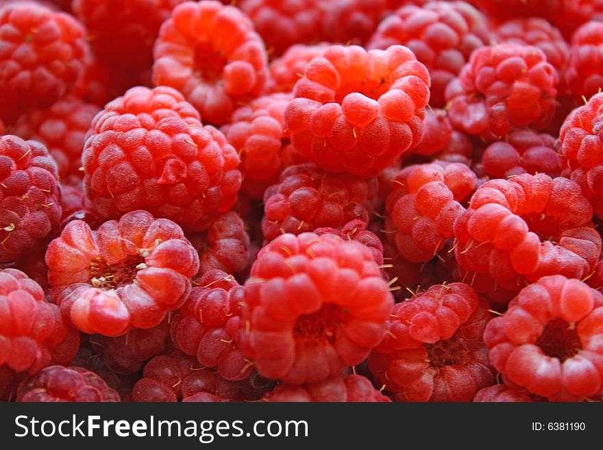 Close up of the raspberry for the background