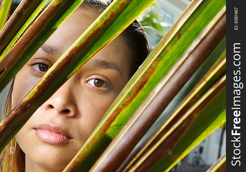 Young woman with a palm frond in the foreground. Young woman with a palm frond in the foreground