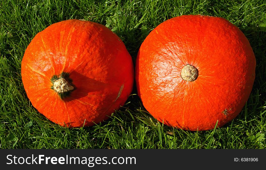 Two Hokkaido Pumpkins lying on Grass