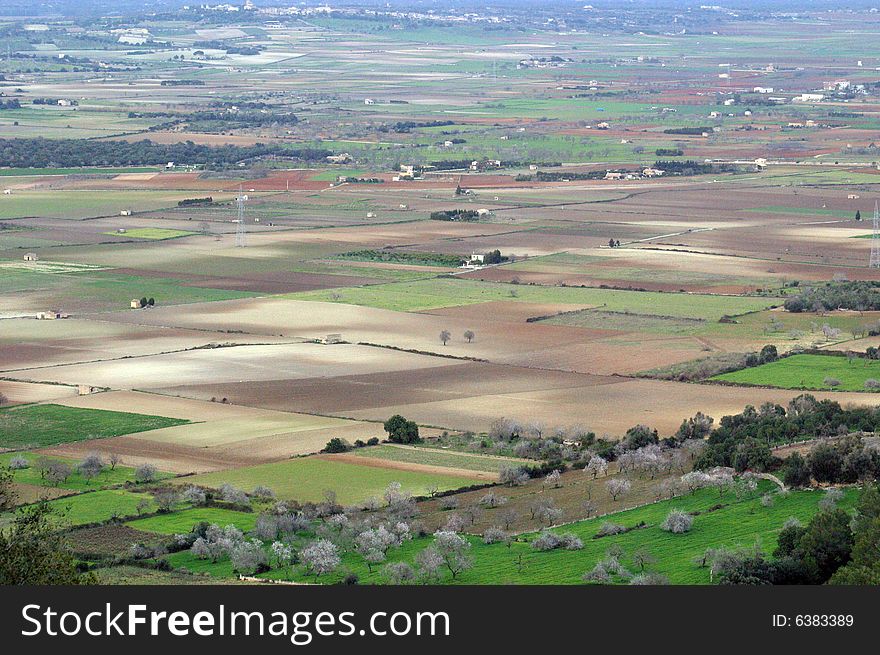 Panorama to the fields in Majorca in Spain