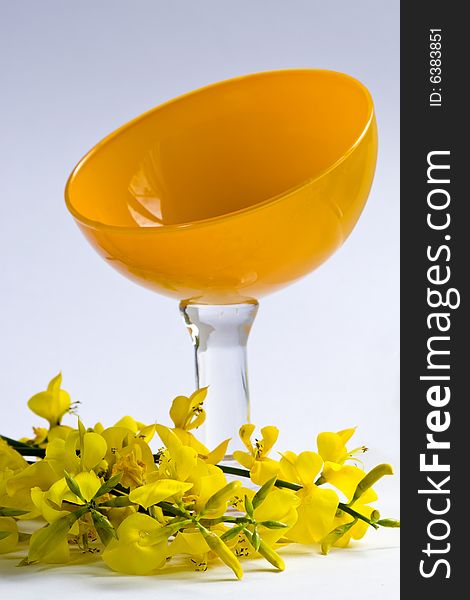 Yellow flowers and icecream bowl. Yellow flowers and icecream bowl