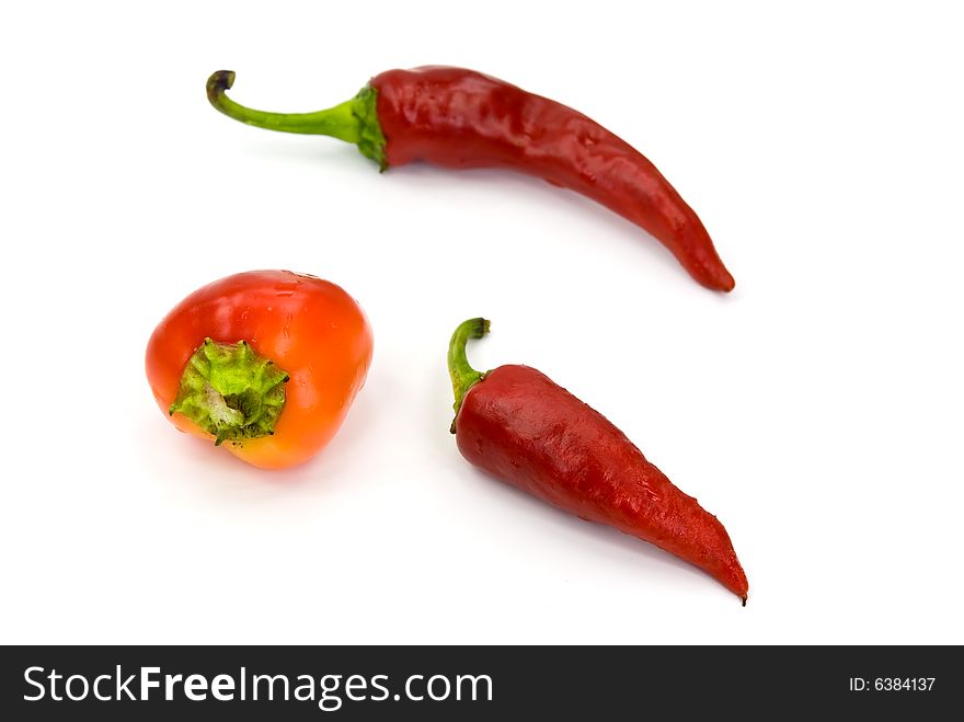 Red chili pepper on the white background.