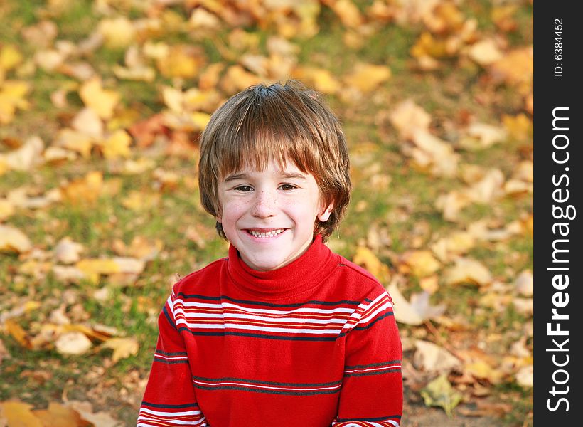 Little Boy Smiling in the Fall Leaves. Little Boy Smiling in the Fall Leaves