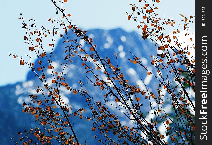 View of the snow mountainous