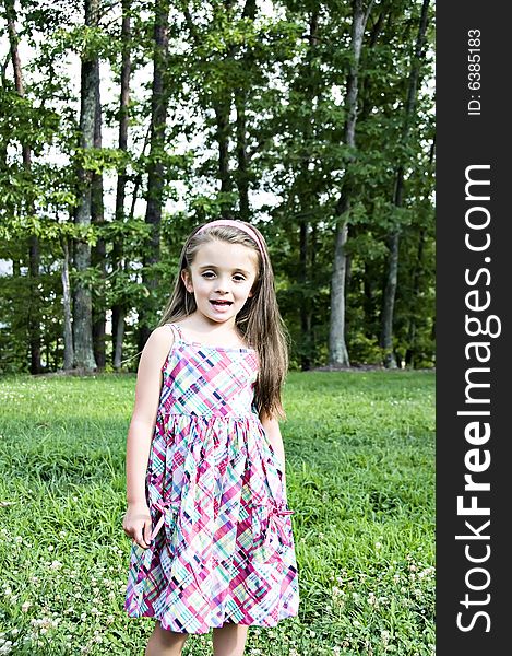 Beautiful little smiling girl posing in a plaid dress standing on green grass with a backdrop of trees. Beautiful little smiling girl posing in a plaid dress standing on green grass with a backdrop of trees.